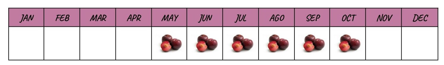 Temporada ciruela